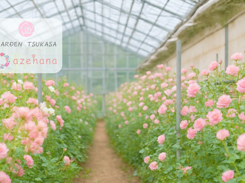 【農家直送】赤バラ50本｜プロポーズ・記念日に人気の花束