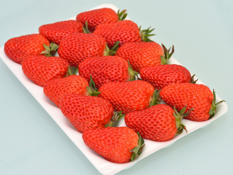 極旨！きらぴ香大粒【１２粒or１５粒入り】約500ｇ