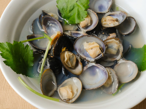 【オルニチン8倍!!】宍道湖産ヤマトシジミ・冷凍1kg（お任せサイズ）