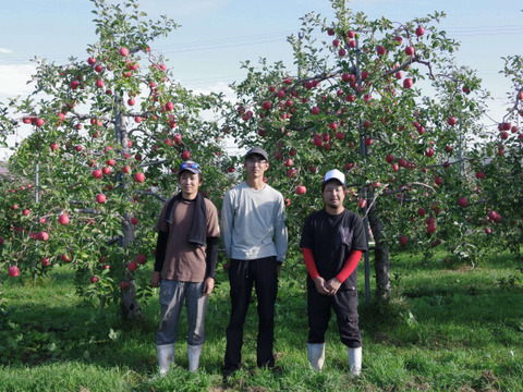 ★11月中旬発送★【みんなで食べ比べ🍎】おまかせりんご家庭用10kg（28~40玉）