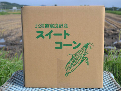 富良野産 トウモロコシ【10本入り】朝取り クール便発送 ＊8月上旬ごろより収穫開始！