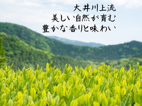 新茶【銘茶コンテスト入選茶】川根茶　煎茶あさぎり100ｇ袋入×３袋セット