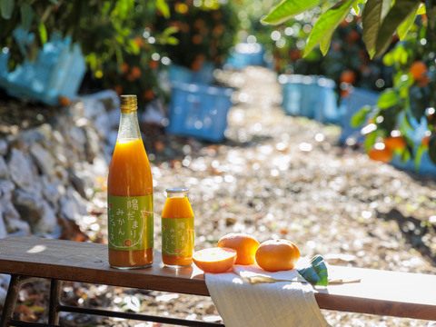 【お得な12本セット♪】陽だまりファーム  三ヶ日青島みかんジュース ストレート100％（720ml×12本）