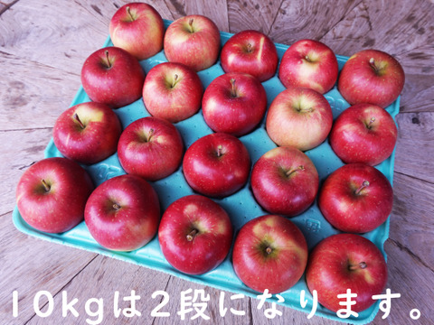 すぐに発送🍎安祈世🍎たっぷり10kg りんご好きもうなる皮までおいしい低農薬りんご✨キズなし良品りんご 青森県特別栽培認証りんご　化学肥料不使用・農薬半減栽培