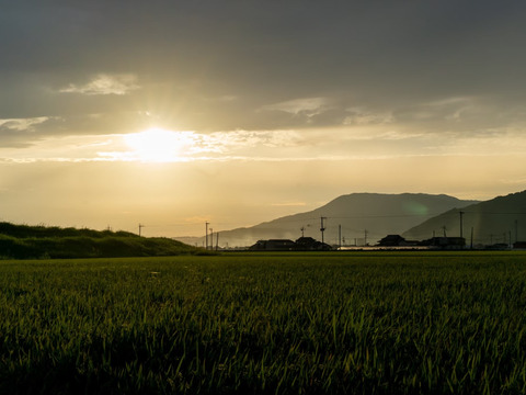 【令和６年産新米】香りが自慢の夢しずく白米（2キロ✖️2袋）