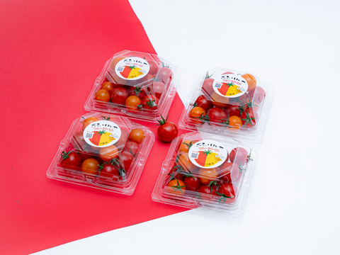 甘さと酸味のバランス抜群『ポモロッサミックス４パック入』