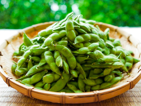 ★訳あり規格外品‼️白山だだちゃ豆１kg【朝どれ】