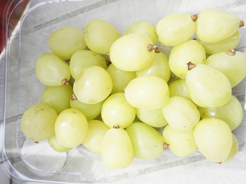 【9/12発送分で終了！】平井利右衛門の赤青ぶどうセット(クイーンセブン、雄宝/粒1.5kg)