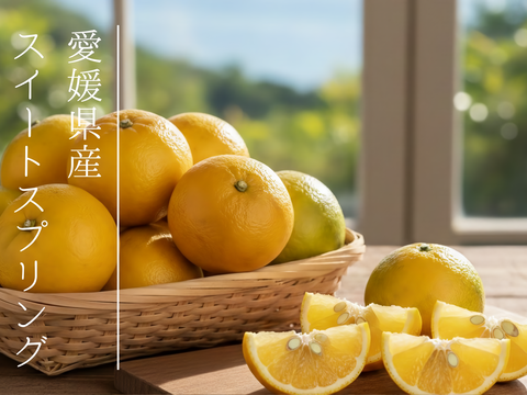 【幻の希少柑橘】スイートスプリングお試し１ｋｇ ご家庭用 農薬不使用 自然栽培 愛媛県産