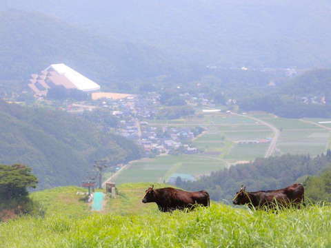 但馬牛経産牛(つるこ号)の三角バラ300g 円山川の牧草と米粉をしっかり食べた但馬うしの三角バラです(^_^)
