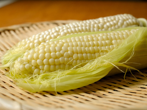 【スッキリとした甘さ・果汁たっぷり・生食可】白いとうもろこし9kg（20～28本）
