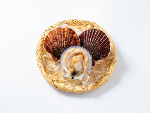 【冬ギフト】ホタテ貝ヒモ100g（冷凍｜生食｜刺身用）｜岩手県三陸産