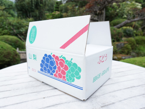 もうすぐ終了予定！【値引き中！総重量1.6kg以上！】平井利右衛門の黒赤青ぶどう（富士の輝、コトピー、マスカサーティーン/各1～2房）