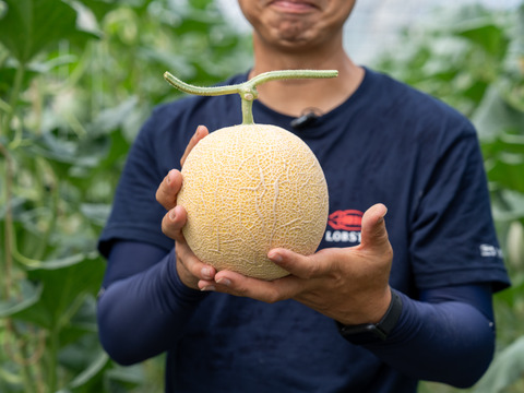 【島根県発！幻のメロン】「ゴールデンパール」１玉１.３kg以上