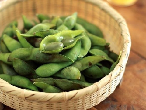 美品  即発送】旬最終の丹波黒枝豆「お試し黒枝豆」を｢お試し｣なんて 野菜