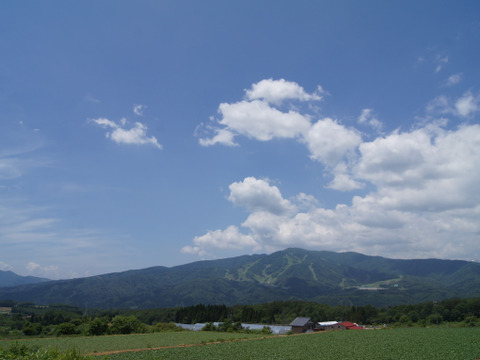 【完熟ミニトマト100％】まるで飲むフルーツ。10年以上、学校給食に選ばれ続ける信頼の自社加工（無添加・無着色・無塩） ギフトセット 200ml×3本
