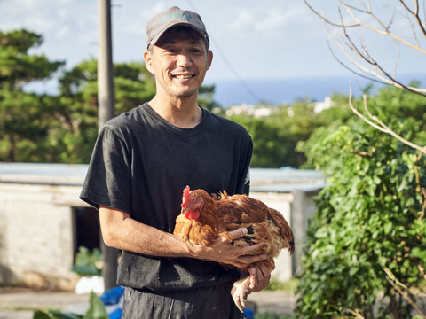 【久米島赤鶏ぶつ切り】お鍋やスープに！酒粕で育った旨味しっかり赤鶏（ホルモン剤不使用）500g