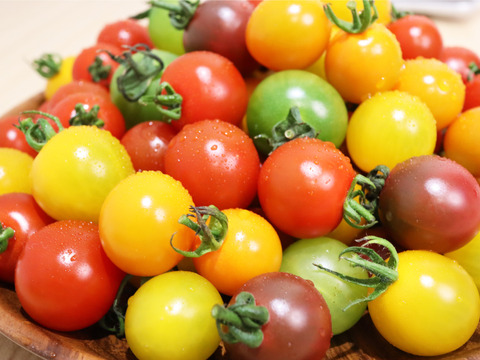 【食べ比べ】《食卓に彩りを》ビビッドカラフルミニトマト(1.3㎏)【トマト食べ比べ】