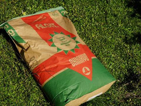 秋の爽やかな味覚！和歌山オリジナル品種『YN-26』約3kg