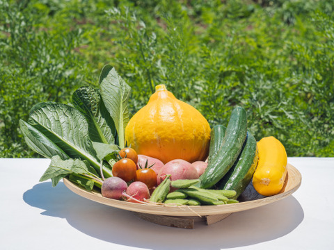 【おためし少量】旬の野菜セット(野菜4種類)農薬・化学肥料不使用
