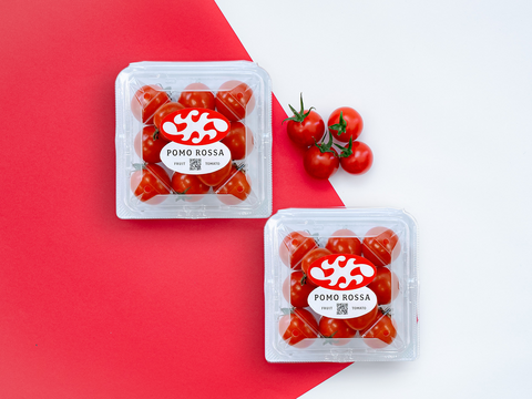 【迷ったらこれ！！】極上濃厚フルーツトマト「ポモロッサ」お試し用（2パック＋おまけ付）