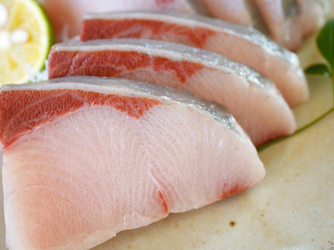 ★新登場★徳島県産ブランド鰤「すだちぶり」3パック