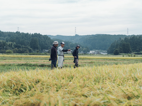【令和7年産新米】特別栽培米コシヒカリ（白米）5kg 　石川県産
