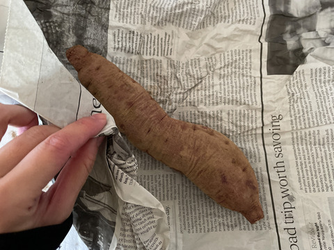 【さつまいも】坂本あずま　5kg（サイズ無選別）