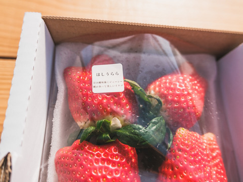 【人気品種】ほしうらら2P　お得なご家庭用！　250g×2p