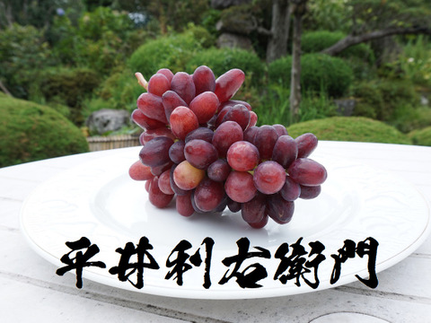 平井利右衛門の赤ぶどう(クイーンセブン/1房)
