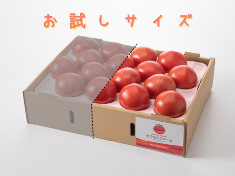 【９月下旬以降出荷分】あ、あまい・・！高糖度トマト 0.8kg　化学肥料・農薬完全不使用　青森県産