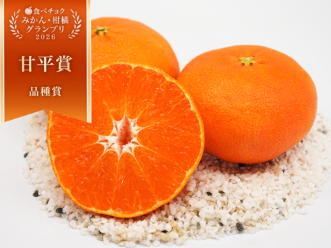 【みかんGP2026 甘平賞受賞🏆】甘平2kg×2箱（ご家庭用）