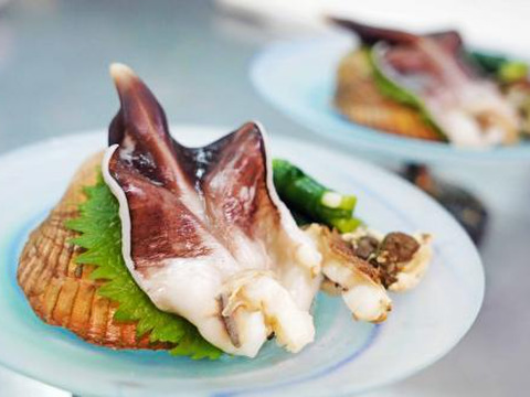 【日本一】天然とり貝/京都府宮津/販売期間短い/特大サイズ/1個230g前後/５個セット【生】