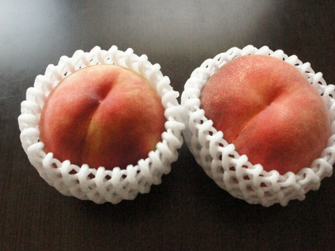 信州産（川中島平産）果汁たっぷり！川中島白鳳　６入れ