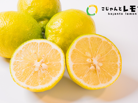 【天皇杯受賞農家】高知県大月町産・農家直送 こじゃんとレモン 5kg（化学肥料/防腐剤/ワックス不使用）