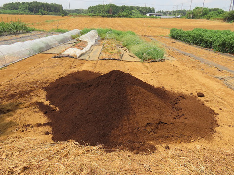玉ねぎ 5kg