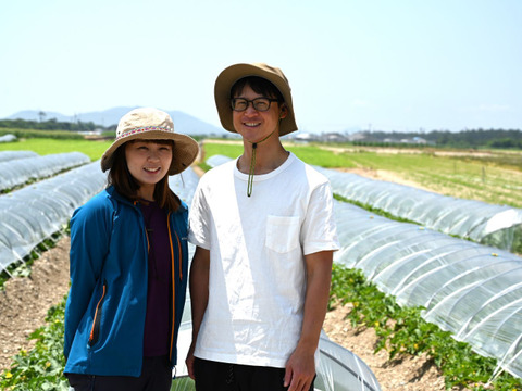 【最高金賞 受賞】極上メロン 渥美の陽光-HIKARI-(1.5kg１玉入)