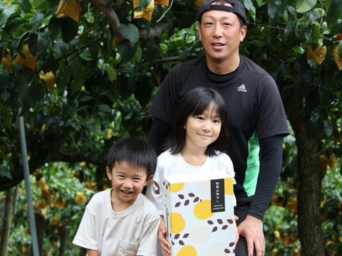 数量限定❗️大玉豊水梨【袋掛け栽培、秀品】天空の村よりお届け‼️