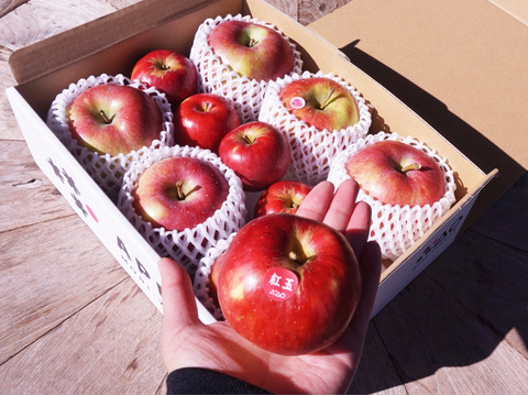 【数量限定】超Oh!玉 訳ありご家庭用りんご 大小2種類詰合せ3kg