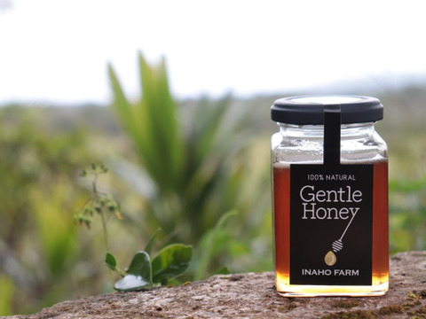 『Gentle Honey』世界遺産やんばるの大自然の恵み　非加熱・無添加  蜂蜜