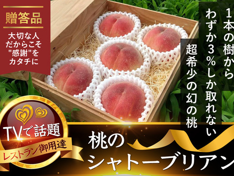 世界の果てまでイッテQ!紹介🍑1000個中1個の幻🍑今話題沸騰中の幻のシャトーブリアン桃🍑1本の樹からわずか3%しか取れない圧倒的糖度幻の桃5個【贈答用箱入り】【朝どれ】🍑6月下旬予約🍑