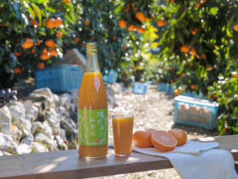 【お得な12本セット♪】陽だまりファーム  三ヶ日青島みかんジュース ストレート100％（720ml×12本）