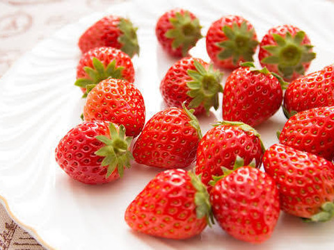 贈答用岡山県産さちのか(大粒9粒入りパック×2)