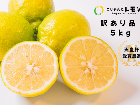 年末年始セール【天皇杯受賞農家】訳あり 高知県大月町産・農家直送 こじゃんとレモン 5kg（化学肥料/防腐剤/ワックス不使用）
