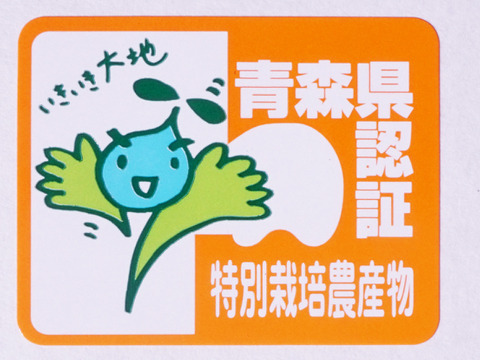 低農薬で皮ごとおいしい【旬の葉とらずりんご】5kg送ります！　品種おまかせ🍎