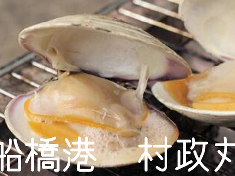 【10セット限定】村政丸スペシャル ホンビノス貝　極み