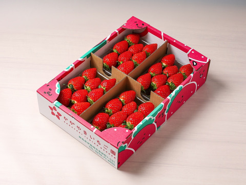 ★日付指定可能 ：【食べチョクいちご博2024博総合大賞】新鮮完熟やよいひめ（約275g×4P）