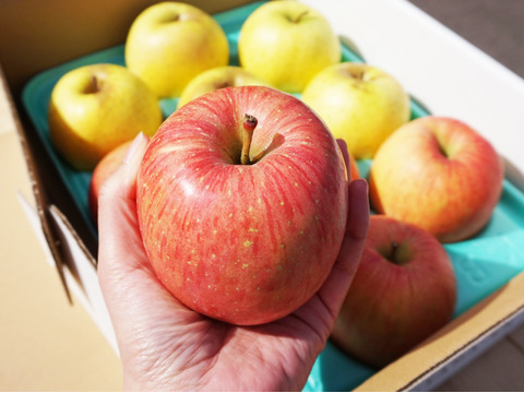 フレッシュ食感✨特別貯蔵の葉とらずふじと王林3kgセット キズなし贈答可　低農薬　特別栽培りんご りんご食べ比べ