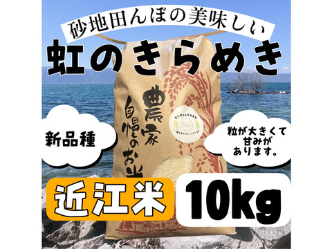 【令和7年新米】【白米】 『虹のきらめき10kg』新品種！おにぎりやお弁当にも最適！後をひく甘さともっちり感が抜群！