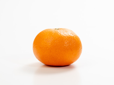 滑らかな舌触り！あふれる果汁！糖度だけでは測れない深い甘みとコク！匠の技が光る『頑固みかん』2Lサイズ、10kg